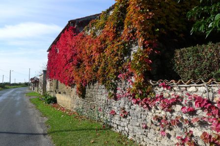 Couleur d'Automne