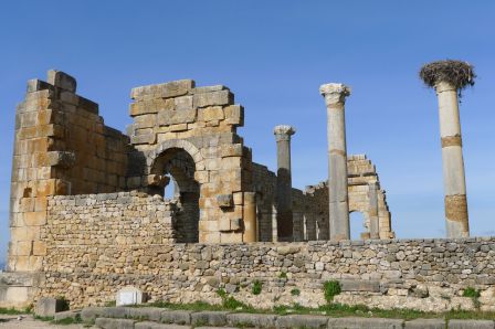 ruines de volubilis