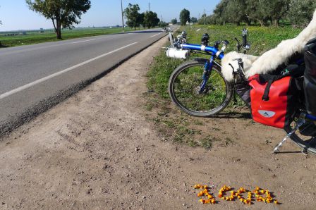 3000 km !