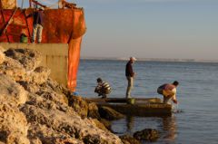 Les pêcheurs au port de Dakhla