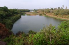 Dans le parc du Niokolo Koba