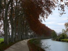 Bord de canal