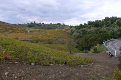 beau paysage, vélo dans le coin à droite